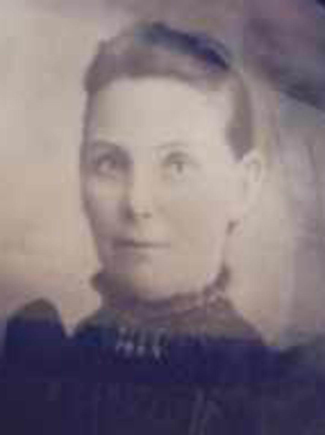 Laura Elizabeth Webb (1859 - 1923) Profile